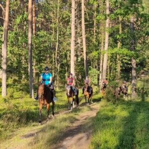 Letnie obozy jeździeckie